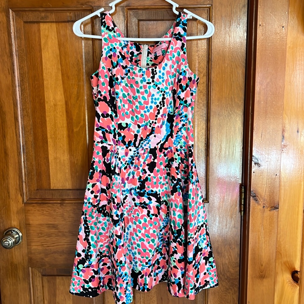 Lily Pulitzer Gosling Cameo White Sweet Nothing Lined Flare Dress Size 2